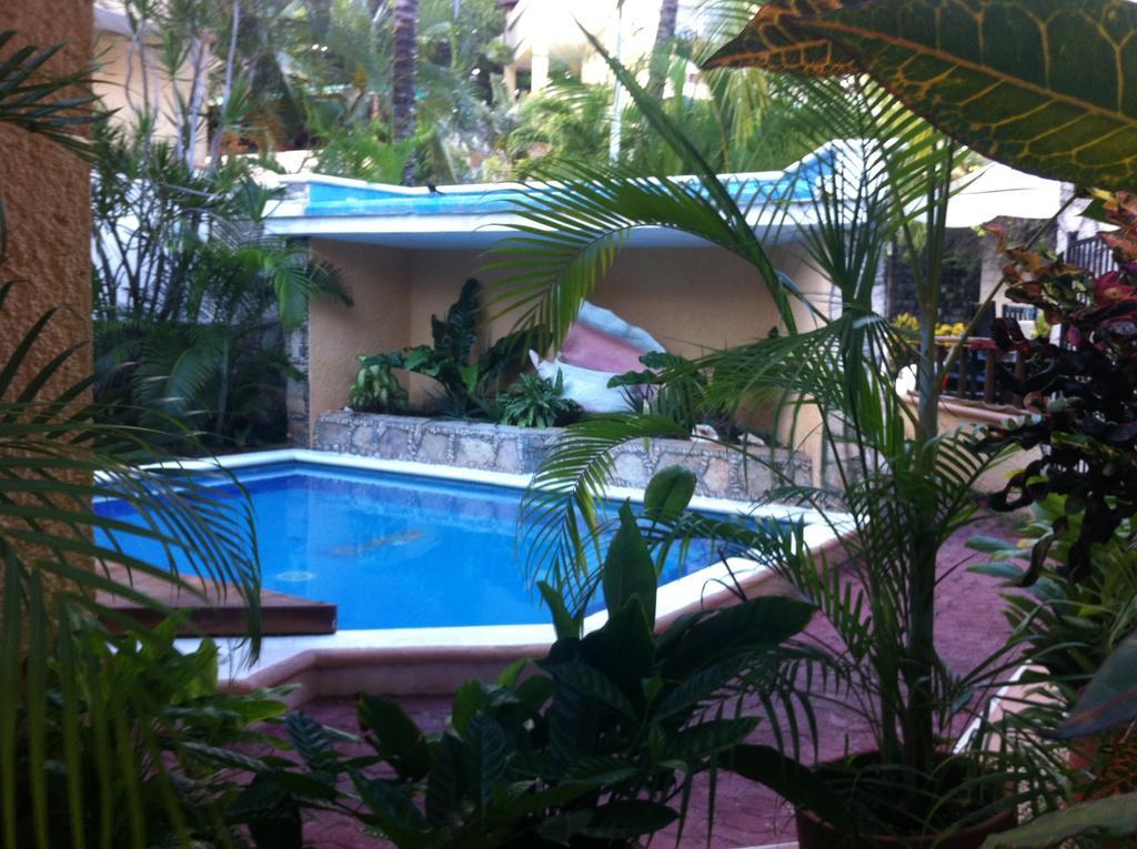 Vista Caribe Diving Resort Πλάγια Ντελ Κάρμεν Εξωτερικό φωτογραφία