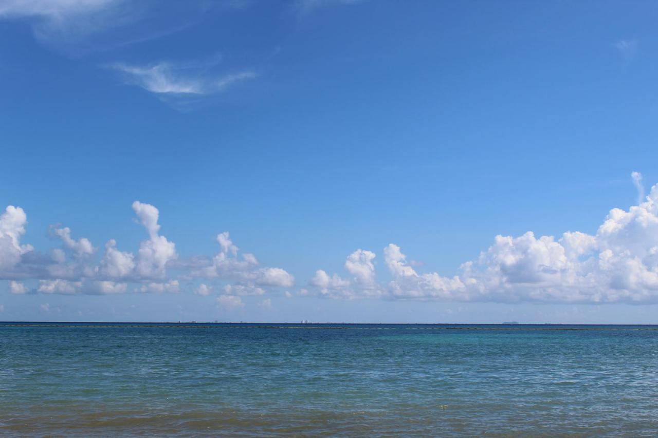 Vista Caribe Diving Resort Πλάγια Ντελ Κάρμεν Εξωτερικό φωτογραφία